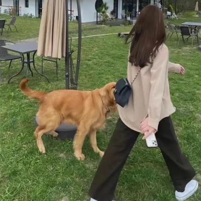 我是格鲁特第一季